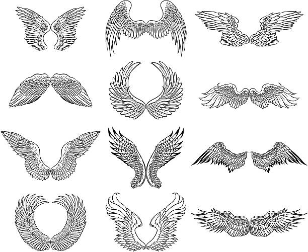 Wings Set of 12 wings design elements. angel wings drawing stock illustrations