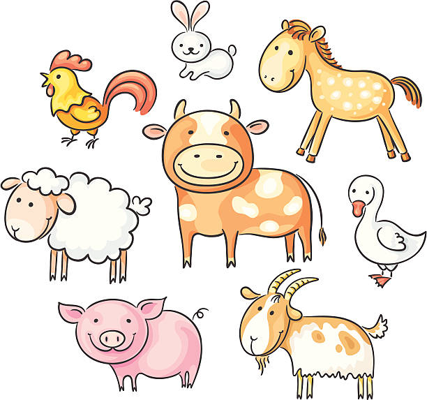 Farm animals A set of cartoon farm animals, no gradients.   sheep illustrations stock illustrations
