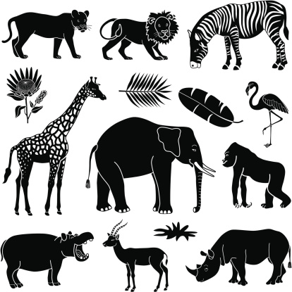 Vector illustrations of African animals: 