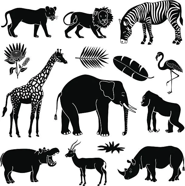 Vector illustration of African animals