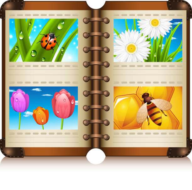 illustrations, cliparts, dessins animés et icônes de album: - nature water ladybug spring