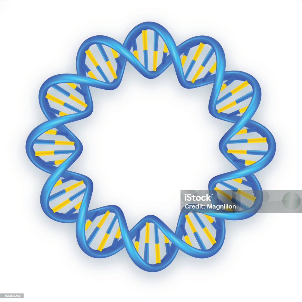 Elica di DNA - arte vettoriale royalty-free di Cellula staminale