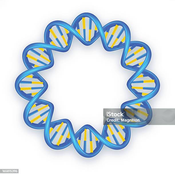 Vetores de Dna Hélice e mais imagens de Célula Germinal - Célula Germinal, DNA, Torcido