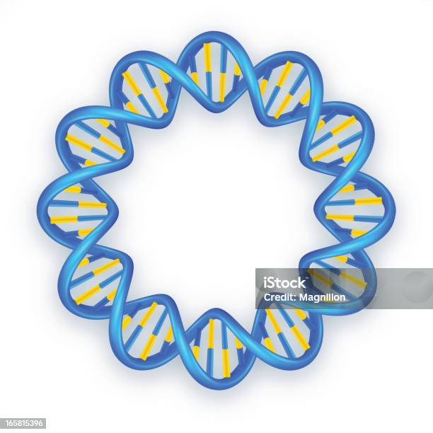 Dna Helix Stock Illustration - Download Image Now - DNA, Stem Cell, Twisted