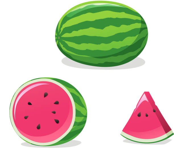 워터멜론 설정 - watermelon fruit food portion stock illustrations