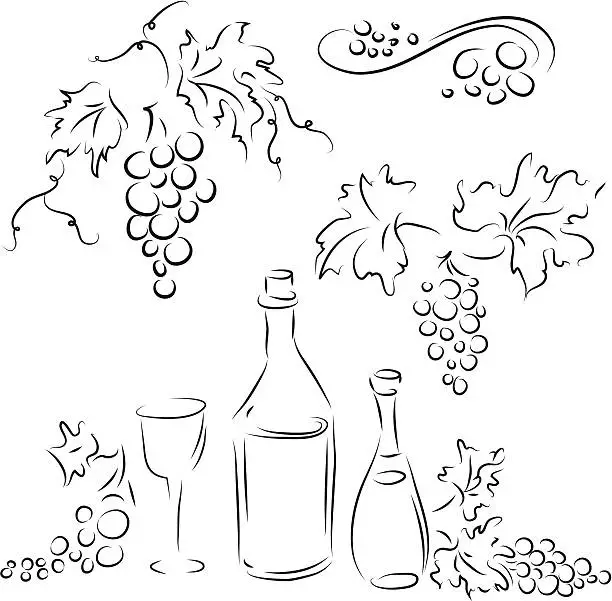 Vector illustration of Grape and wine