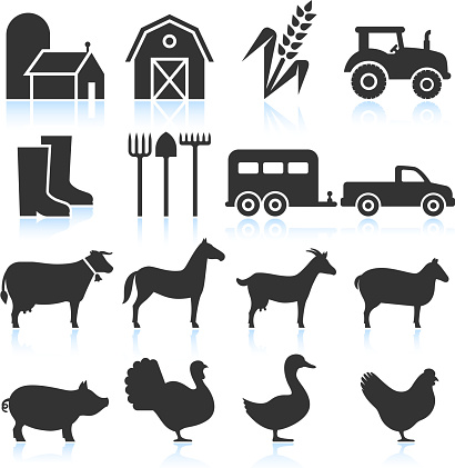 Farm Equipment and Animals black & white set