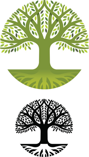 Tree Root Circle Round Tree Roots Stock Illustration - Download Image Now - Tree, Root ...