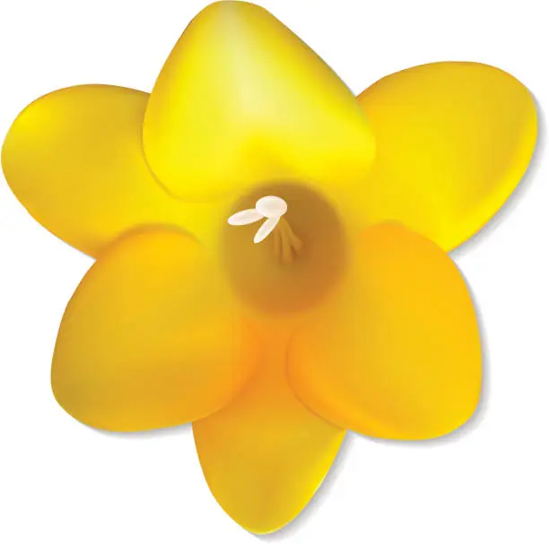 Vector illustration of Yellow Flower - Vector Illustration