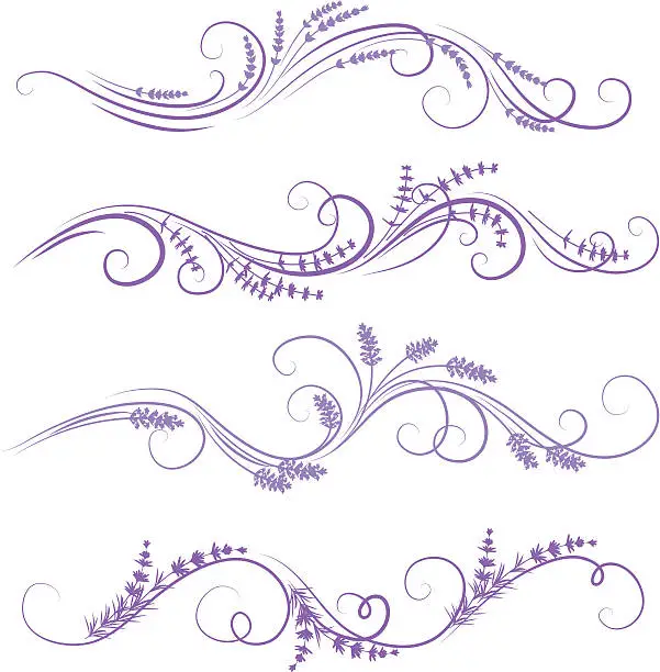 Vector illustration of lavender ornament