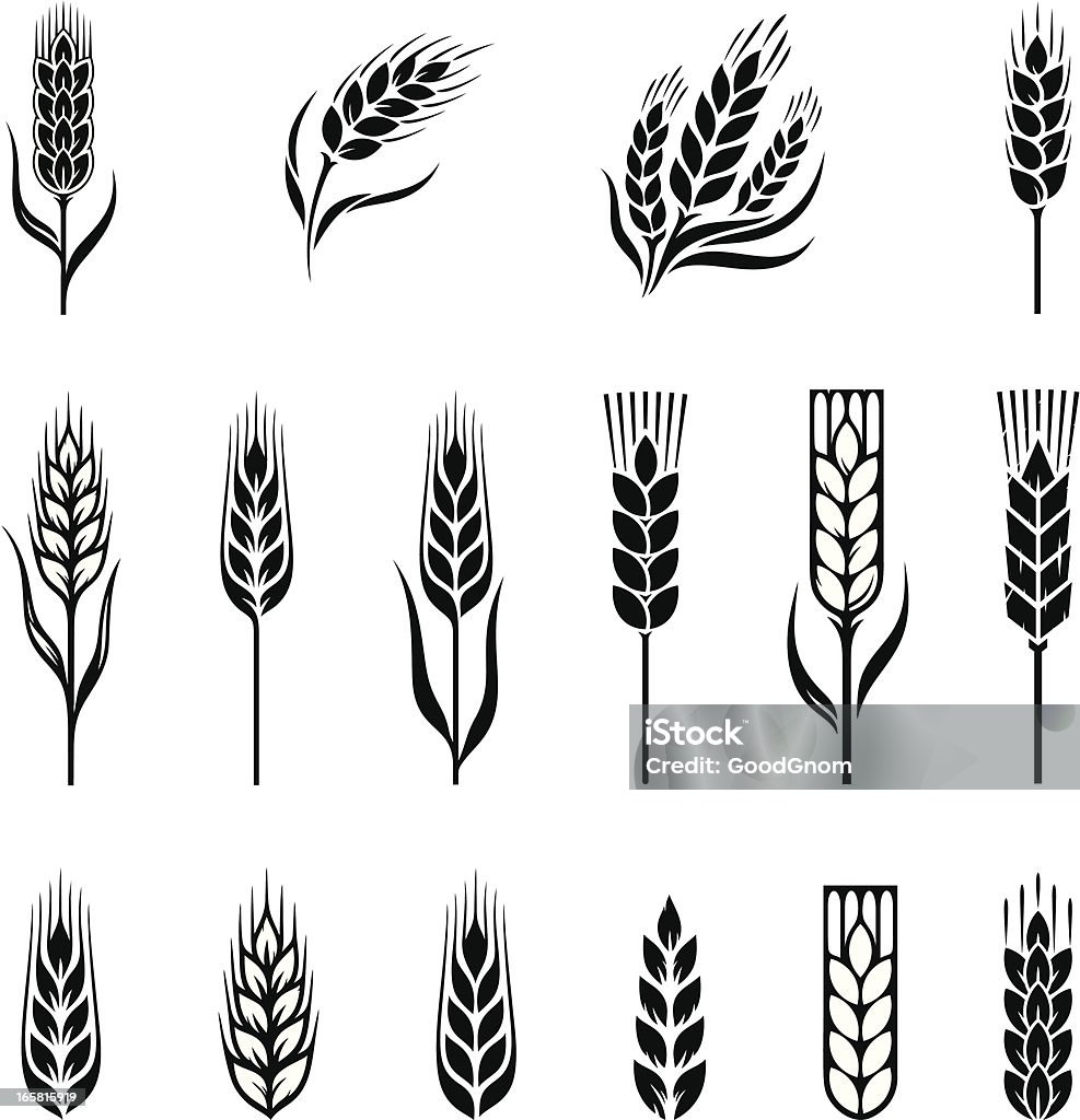 wheat Wheat. A set of design elements. Download includes:  Illustrator CS, CorelDraw (version 9.0), 8EPS and Hi-res JPG file Wheat stock vector