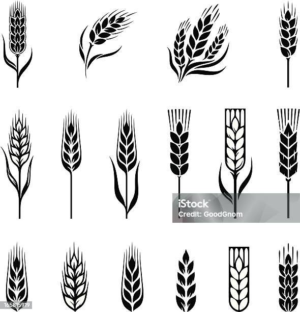 Wheat Stock Illustration - Download Image Now - Wheat, Cereal Plant, Bread