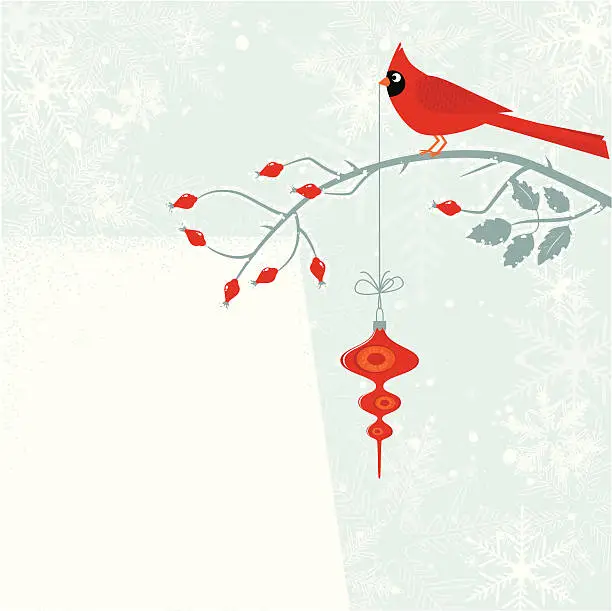Vector illustration of Cardinal bird with Cristmas decoration
