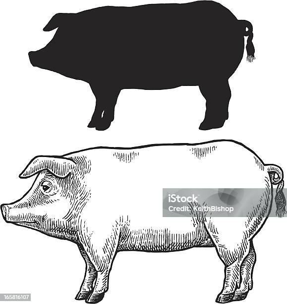 Schwein Schweinen Oder Hog Stock Vektor Art und mehr Bilder von Kontur - Kontur, Schweinefleisch, Grill-Zubereitung