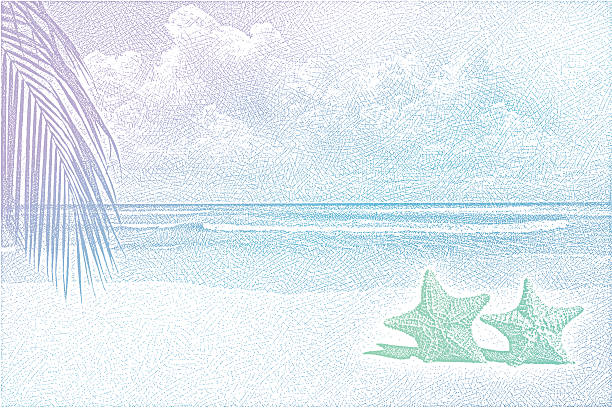 ilustrações de stock, clip art, desenhos animados e ícones de fundo de praia - etching starfish engraving engraved image