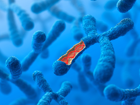 Cromosoma. EL ADN photo