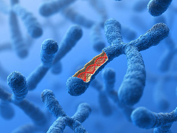 Chromosome. DNA Genetics background. 3D render. genetic mutation stock pictures, royalty-free photos & images