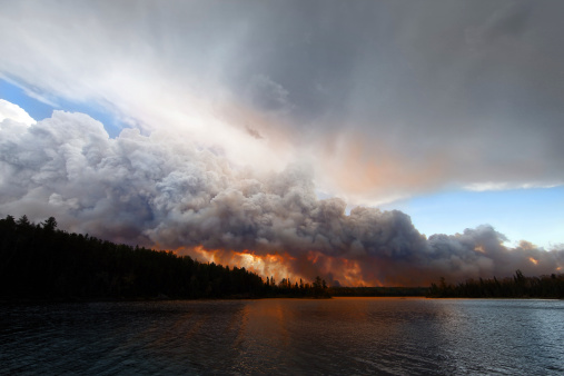 The Pagami Creek wildfire in the Boundary Waters Canoe Area, Minnesota. It burned over 100,000 acres.