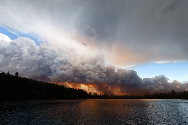 Pagami Creek Wildfire The Pagami Creek wildfire in the Boundary Waters Canoe Area, Minnesota. It burned over 100,000 acres. boundary waters canoe area stock pictures, royalty-free photos & images