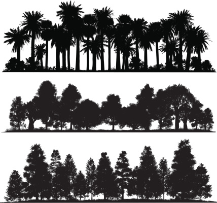 Very high detail silhouettes of tropical, temperate and cold/mountain forests.