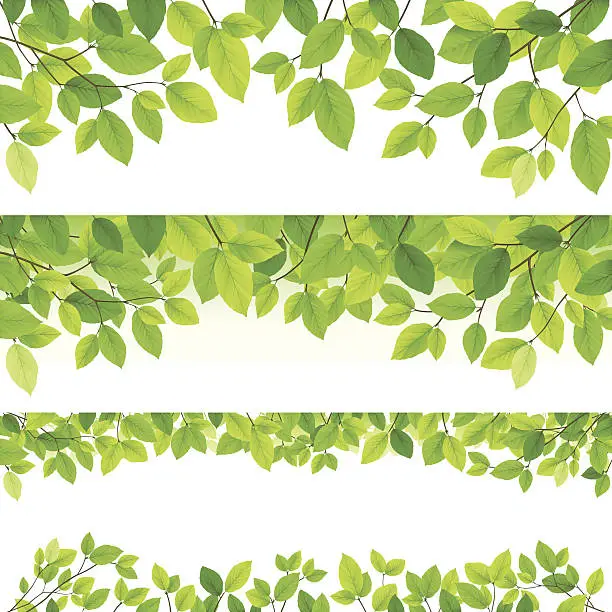 Vector illustration of Horizontal leaf backgrounds