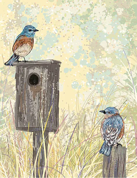 Vector illustration of Sketchy Style Bluebirds And Birdhouse