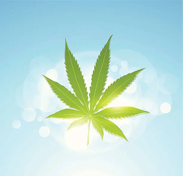 Vector illustration of Shiny marijuana
