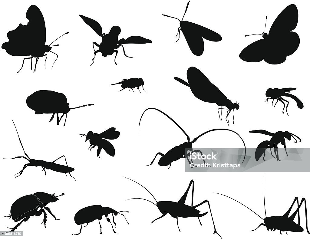 Silhouettes-insectes - clipart vectoriel de Insecte libre de droits