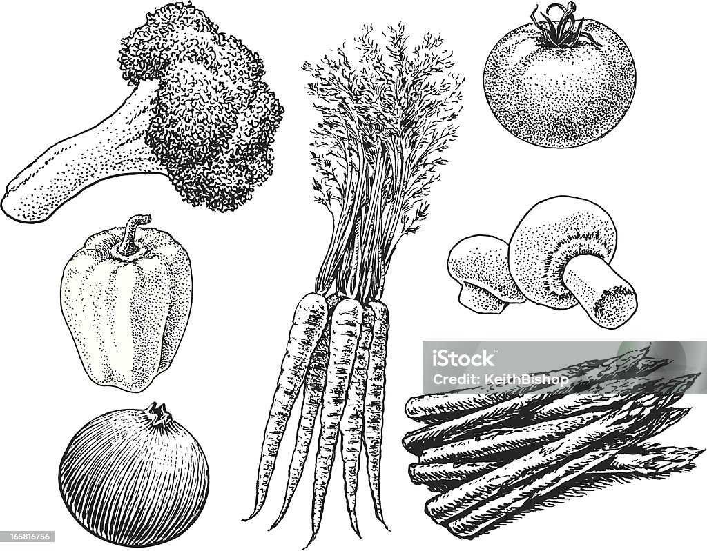 Gemüse-Karotten, Brokkoli, Tomaten, Pilzen - Lizenzfrei Abnehmen Vektorgrafik