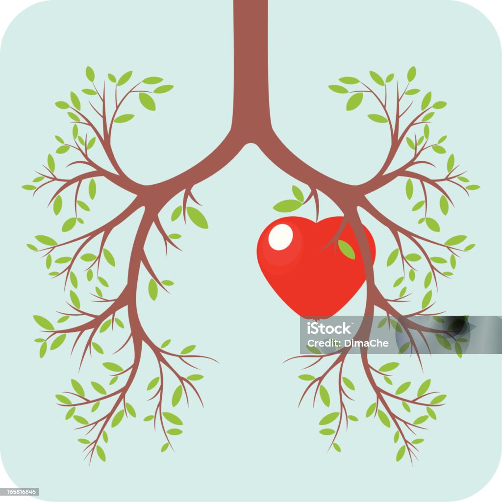 폐, 심장 컨셉입니다 - 로열티 프리 나무 벡터 아트