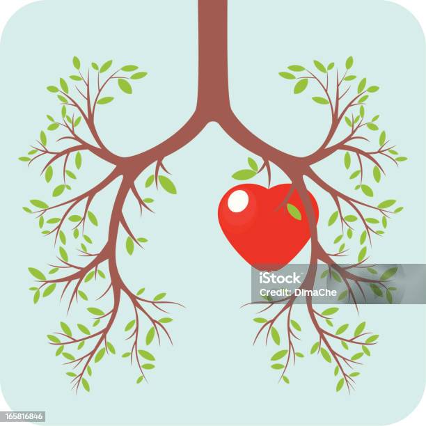 Vetores de Pulmão E Coração Conceito e mais imagens de Exercício Respiratório - Exercício Respiratório, Árvore, Conceito