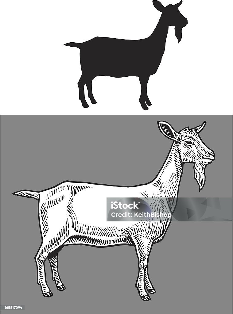 Animaux de ferme et de chèvre - clipart vectoriel de Animaux de compagnie libre de droits