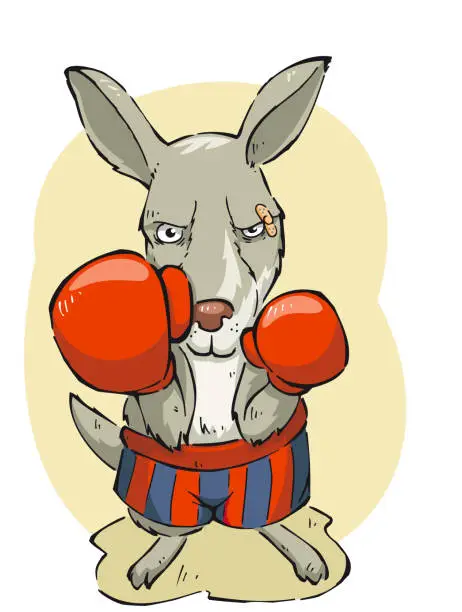Vector illustration of Boxing concentrated kangaroo with box gloves and short