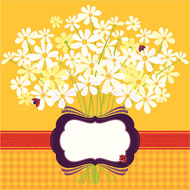 ilustrações de stock, clip art, desenhos animados e ícones de as margaridas em amarelo - flower ladybug frame single flower