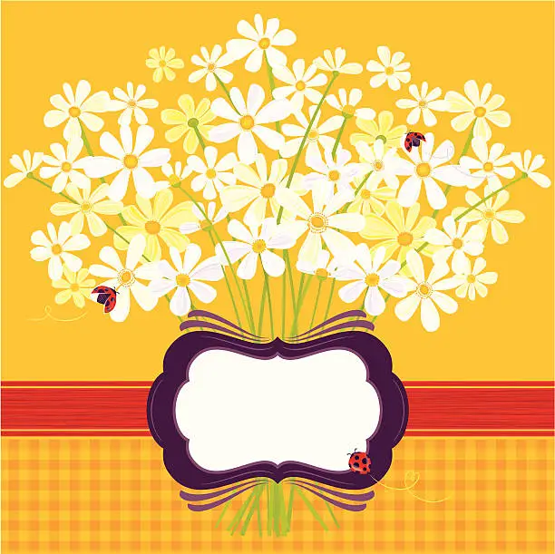 Vector illustration of Daisies on Yellow