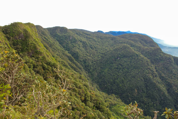 istock Panoramic View From Worlds End In Horton Plains National Park, Sri Lanka 1658177366