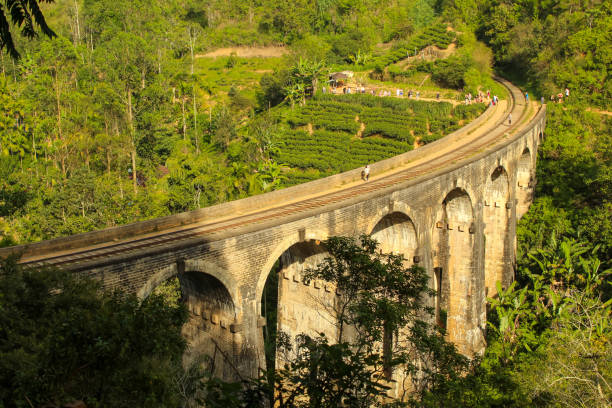 istock Discovering Nine Arch Bridge and the surrounding tea fields in Ella, Sri Lanka 1658177901