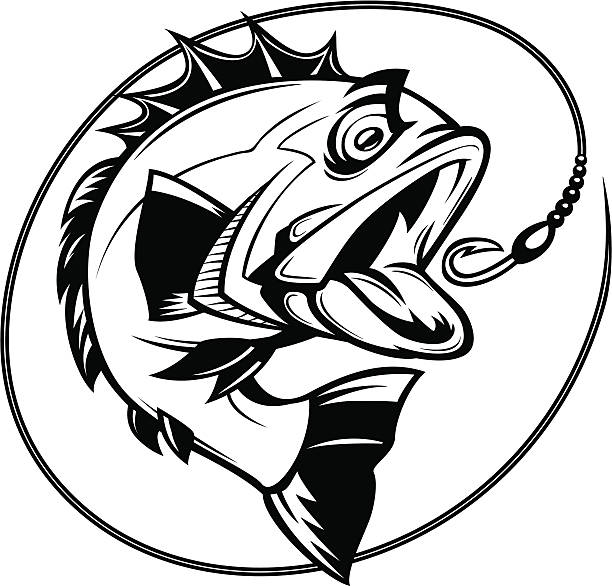 bass fishing graphic cartoon illustration of a bass chasing a hook fishing line illustrations stock illustrations