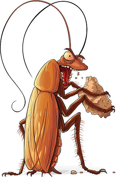 Vector illustration of Cockroach eating