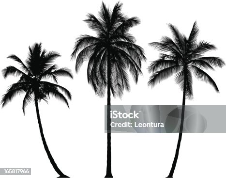 Free Clipart: Palm Tree Silhouette | gustavorezende