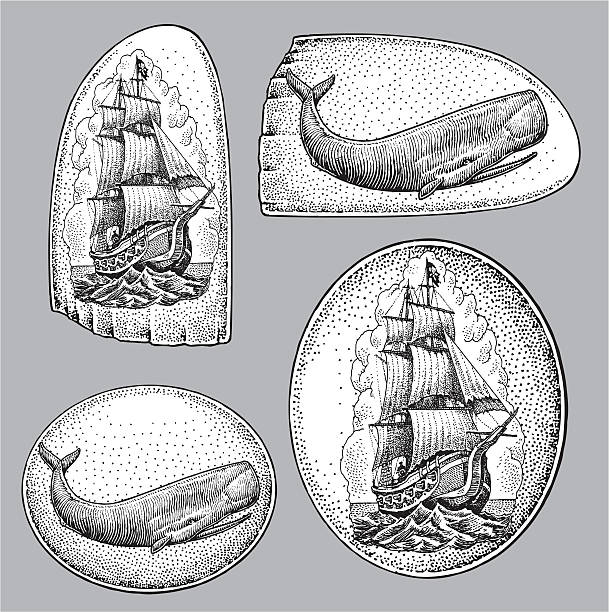 항해 scrimshaw-고래, 돛단배 - sperm whale stock illustrations