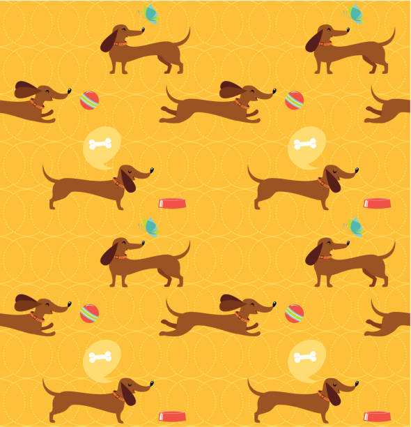 illustrations, cliparts, dessins animés et icônes de motif teckels sans couture - dog wallpaper humor retro revival