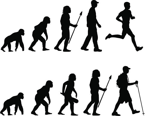 Evolution of the Runner and Hiker vector art illustration