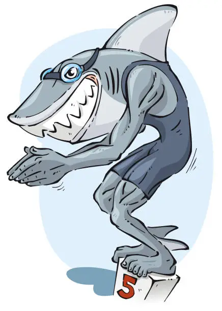 Vector illustration of Shark swimmer