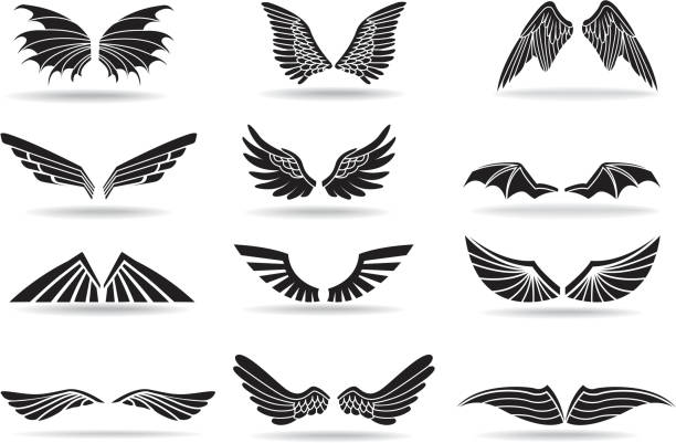 Wings vector art illustration