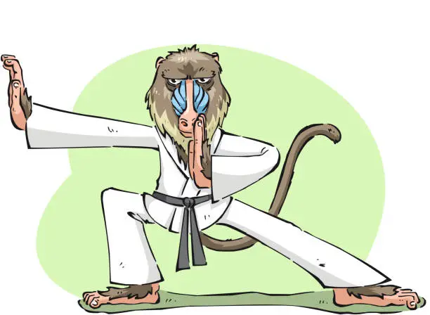 Vector illustration of skilled Karate mandrill monkey ape standing concentrated ready to fight