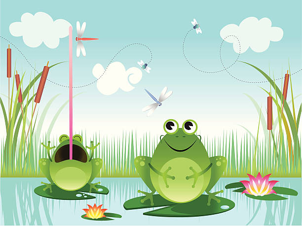 ilustrações de stock, clip art, desenhos animados e ícones de sapos num lago - frog water lily pond sunlight