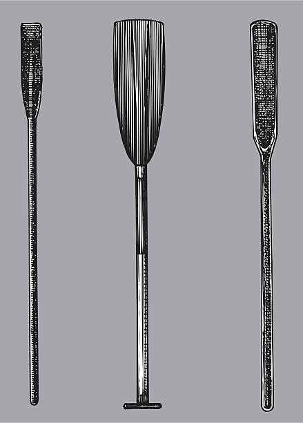 stockillustraties, clipart, cartoons en iconen met ship oars paddles - peddel