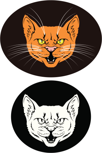 Angry cat head (color and B&W variants on separate layers). CorelDRAW 10 and transparent PNG files attached.