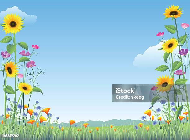 Страна Wildflowers — стоковая векторная графика и другие изображения на тему Подсолнух - Подсолнух, Поле, Иллюстрация